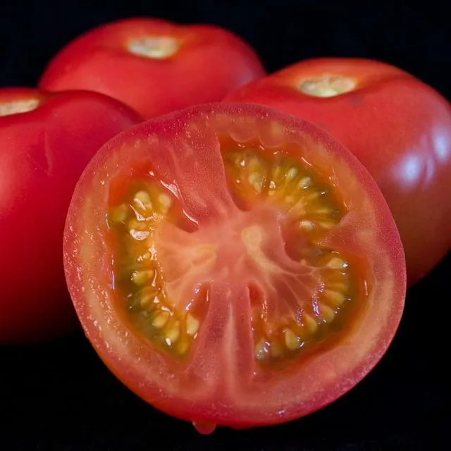 thumbnail for publication: Managing Bemisia tabaci MEAM1 (Gennadius) (Hemiptera: Aleyrodidae) and Tomato yellow leaf curl virus in Florida Tomato